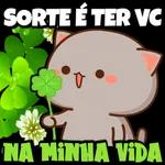 Notificação Preferida