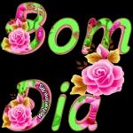 Bom dia 🌺