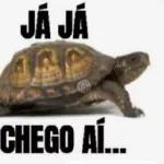 Segunda! Mais uma semana debaixo da proteção de Deus. Bom dia!