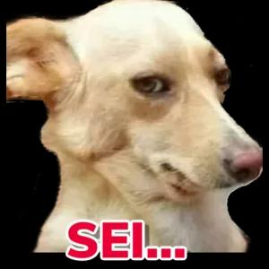 SEI... - getsticker.com