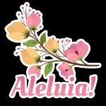 Aleluia 
