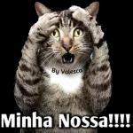 afff🤣