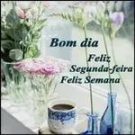 segunda feira 