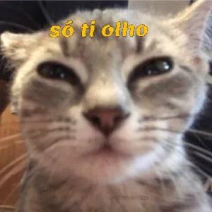 jkwt1a