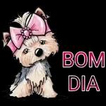 gente
