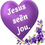 lief jou