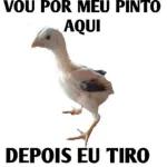 Pacote de expressão de imagem estática de item
