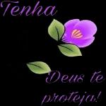 Bom dia Esta rosa é para você