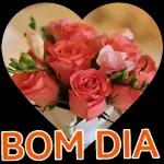 bom dia 