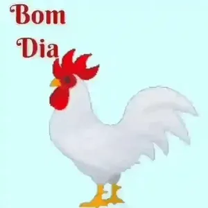 AwbNkS