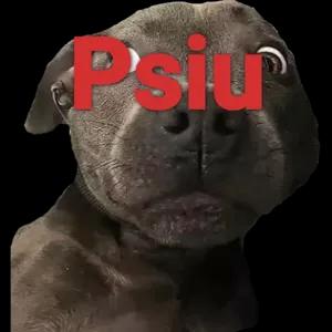 dg3bk0