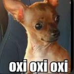 memes 