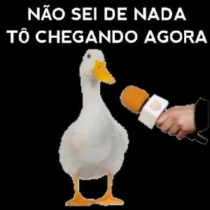 NÃO SEI DE NADA TO CHEGANDO AGORA  - getsticker.com