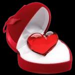 How could you leave me for so long 