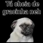 engraçado 