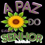 Meus Emoge