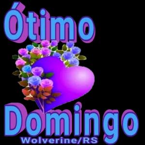 Otimo Domin Wolverine/RS - getsticker.com