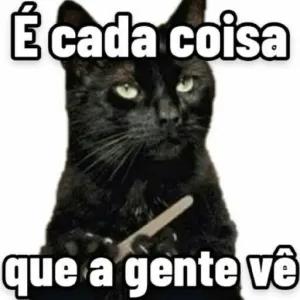 É cada coisa que a gente vê - getsticker.com