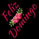 Feliz Domingo