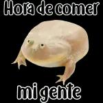 🐸Sapo Feliz Dia 🐸