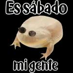 🐸Sapo Feliz Dia 🐸