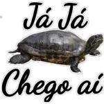 faz meu pix