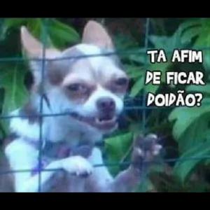 8FGu3G