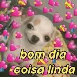 tuliane 