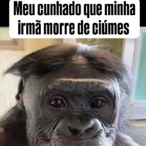 ehhaTG