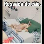 engraçados 