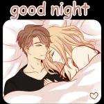 good night 🌉 pic
