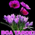Boa tarde