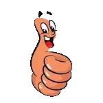 aranha