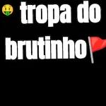 legal amei