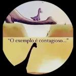 Dia dos professores