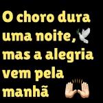 BOM
DIA!