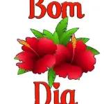 Bom Dia