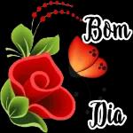 201 M Amem!