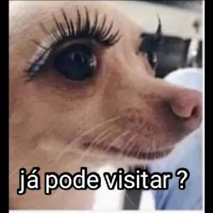 Já pode visitar? - getsticker.com