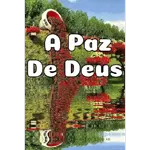 Amem🙏
