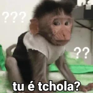 tu é tchola? - getsticker.com