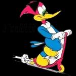 Pica pau