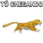 Tô exausta