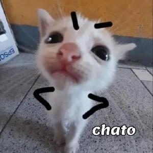 zQxzFn