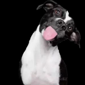 Oh pra Tu! telke - getsticker.com