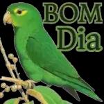  Chuvas
de
bençãos
Altan
Bom dia