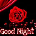 Good Night
