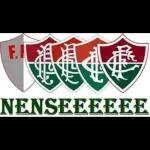 Fluminense sticker