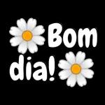 BOM DIA
AMORA MINHA
G