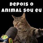 essa doeu 
